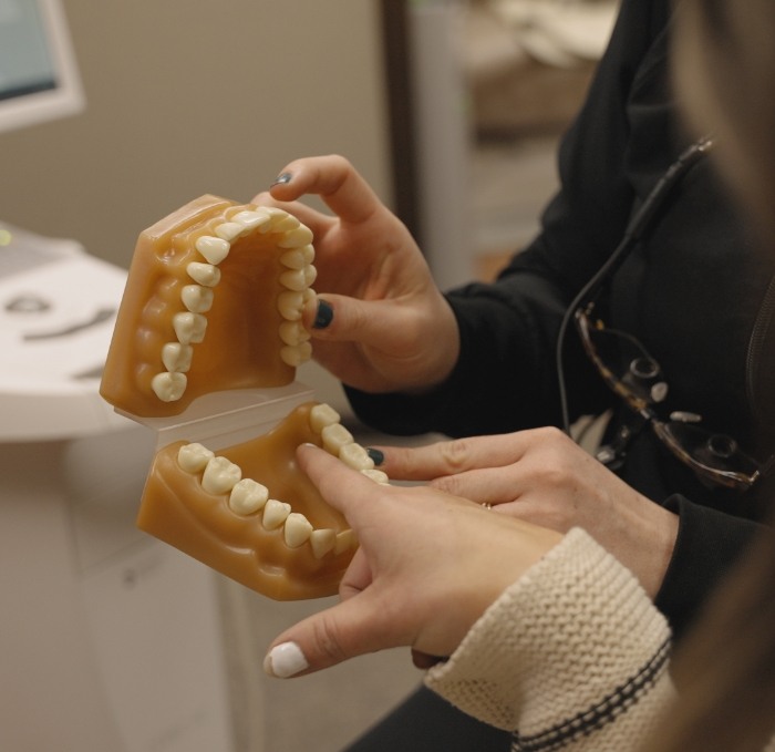 Dentist showing a model of the teeth to a patient